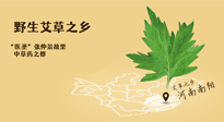 艾草越嫩越好，還是越久越好？悄悄告訴你：艾草這樣用，效果最好！