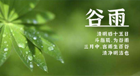 【二十四節(jié)氣灸】谷雨時節(jié)，用艾為您的健康加上一道保險！