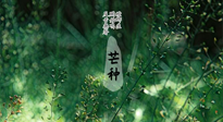 【二十四節(jié)氣灸】芒種節(jié)氣，培土補(bǔ)脾、養(yǎng)陰生津！艾灸這些穴位事半功倍！