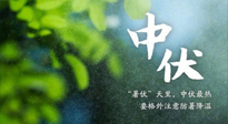 【三伏養(yǎng)生】至熱中伏，吃三樣，喝三樣，三大禁忌千萬別犯，小心落下病根！