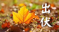 【三伏養(yǎng)生】出伏后做好養(yǎng)生很關(guān)鍵！一行要注意！