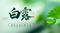 【二十四節(jié)氣灸】白露涼爽，養(yǎng)心肝脾胃、滋陰潤(rùn)肺是關(guān)鍵！
