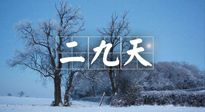 【三九養(yǎng)生】冬二九，扶陽補(bǔ)腎氣，讓你陽氣充足一整年！
