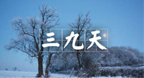【三九養(yǎng)生】冬三九，三九第三灸，一年中最后艾灸黃金9天！