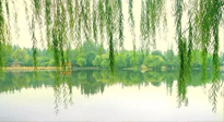 【養(yǎng)生知識】已入五九，六九將至，五九的養(yǎng)生秘訣，你知道嗎？