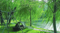 【養(yǎng)生知識】元宵入六九，春季已至，六九天的養(yǎng)生知識你知道多少？