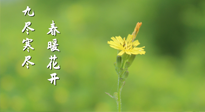 【九九養(yǎng)生】三月四日“九九日”，寒冬已過。春天養(yǎng)好身，全年不怕病！
