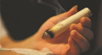 【艾灸知識(shí)】春暖花開(kāi)，衣衫漸薄，再不減肥，身上的肉肉可藏不住了！