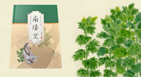 【行業(yè)資訊】國(guó)內(nèi)首部艾草專著《南陽(yáng)艾》，在南陽(yáng)新書(shū)首發(fā)！