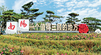 【行業(yè)資訊】南陽一個值得三顧的地方！“丹江水”“仙草艾”成為 “南陽禮物”新爆款！