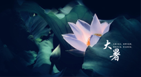 【二十四節(jié)氣灸】趁大暑好好艾灸，才不辜負(fù)三伏天的驕陽！