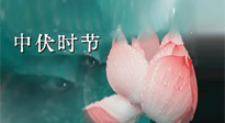 【艾灸三伏天】中伏：三伏灸的關(guān)鍵轉(zhuǎn)折點(diǎn)！“灸”除病根的大好時(shí)機(jī)！
