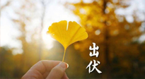 【艾灸三伏天】出伏啦！三防三宜兩穴位，防止身體“秋后算賬”！