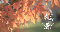 【二十四節(jié)氣灸】處暑，冬病夏治倒計(jì)時(shí)！秋涼真的要來了！