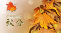 【二十四節(jié)氣灸】秋分節(jié)氣，平衡陰陽，巧用艾灸，潤(rùn)燥養(yǎng)肺是關(guān)鍵！