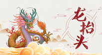 【龍?zhí)ь^】二月二，龍?zhí)ь^，健康養(yǎng)身，為身體打好基礎(chǔ)！