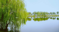【艾灸知識】春三月，必艾灸穴位：疏肝理氣，養(yǎng)血調神！