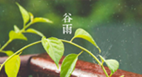 【二十四節(jié)氣灸】谷雨節(jié)氣脾土濕，艾灸降濕濁，脾旺不受邪！