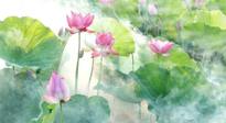 【養(yǎng)生知識】花開半夏，夏至養(yǎng)生，這些知識一定要牢記！