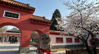 【行業(yè)資訊】新華財(cái)經(jīng)：守正創(chuàng)新，中醫(yī)藥品牌化發(fā)展“更上一層樓”！
