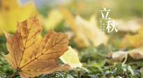 【節(jié)氣養(yǎng)生】甲辰立秋，“2做”、“2不做”，護(hù)好我們身體的正氣，預(yù)防外邪的侵襲！